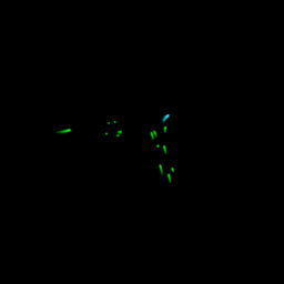 1step_output