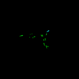 2step_output