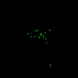 5step_output