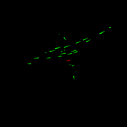 ex2